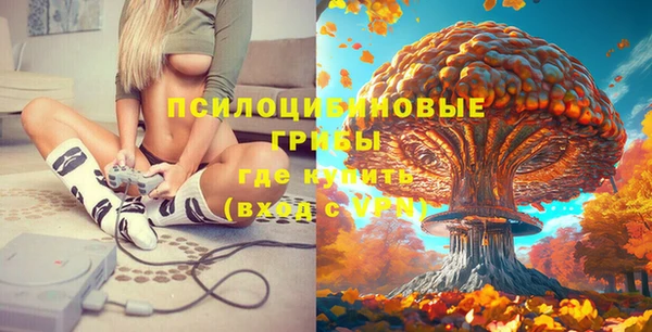 не бодяженный Аркадак