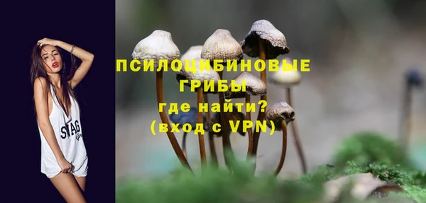 не бодяженный Аркадак